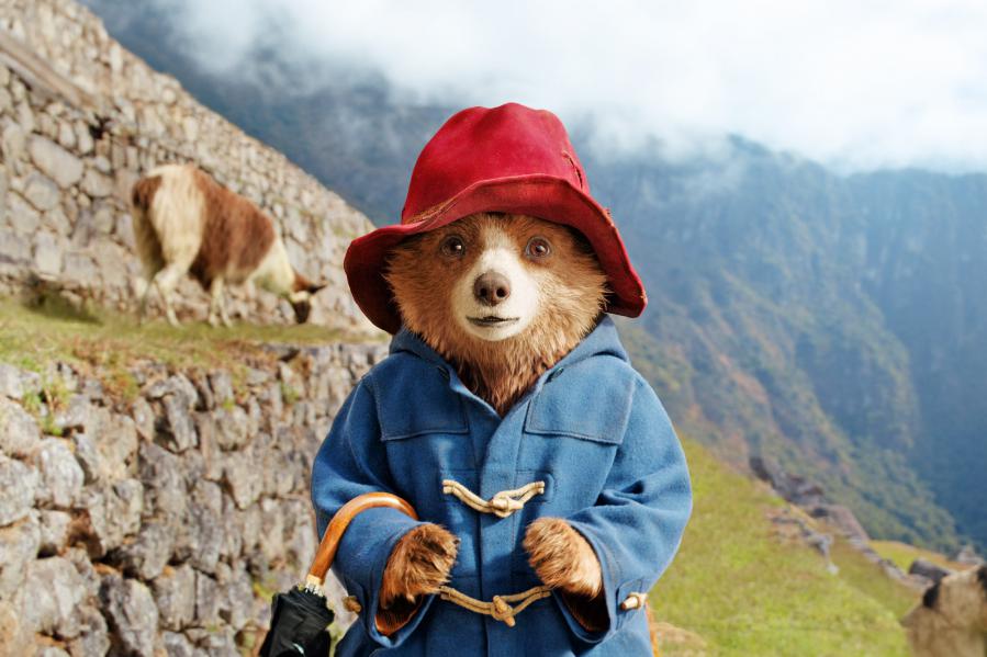 Paddington 3 la encantadora historia del oso del sombrerito rojo