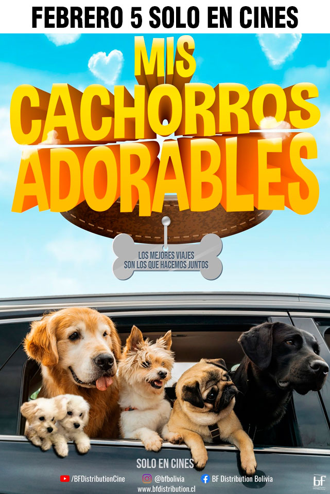MIS CACHORROS ADORABLES