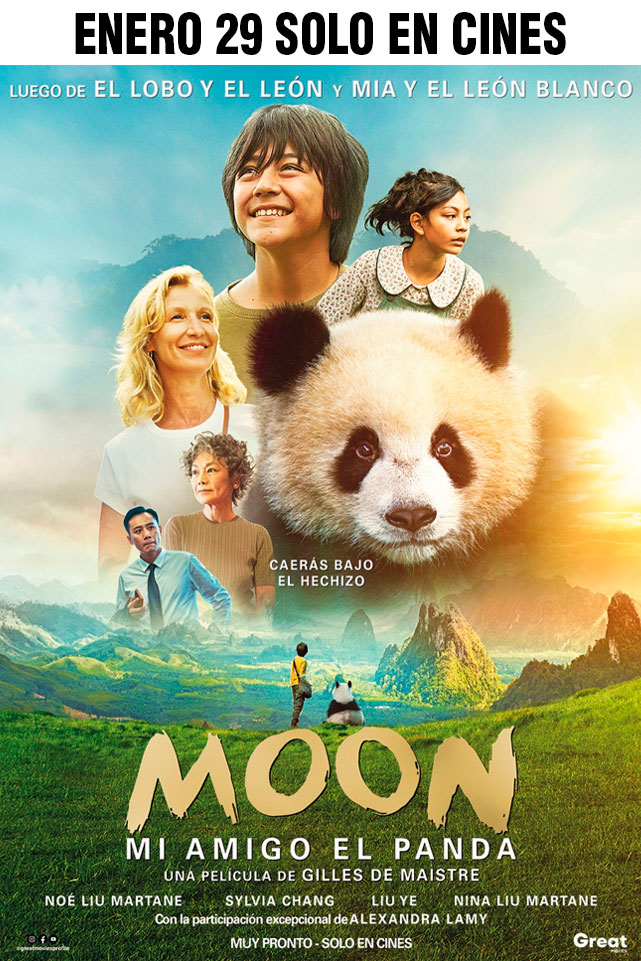 MOON, MI AMIGO EL PANDA